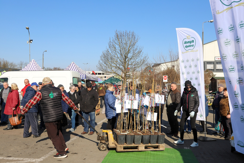 24/27 Wiosna na ryneczku przy św. Jerzego w Gorzowie