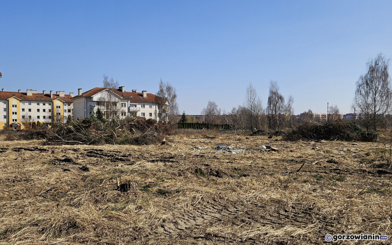 6/9 Wycięte drzewa i krzewy na Dekerta