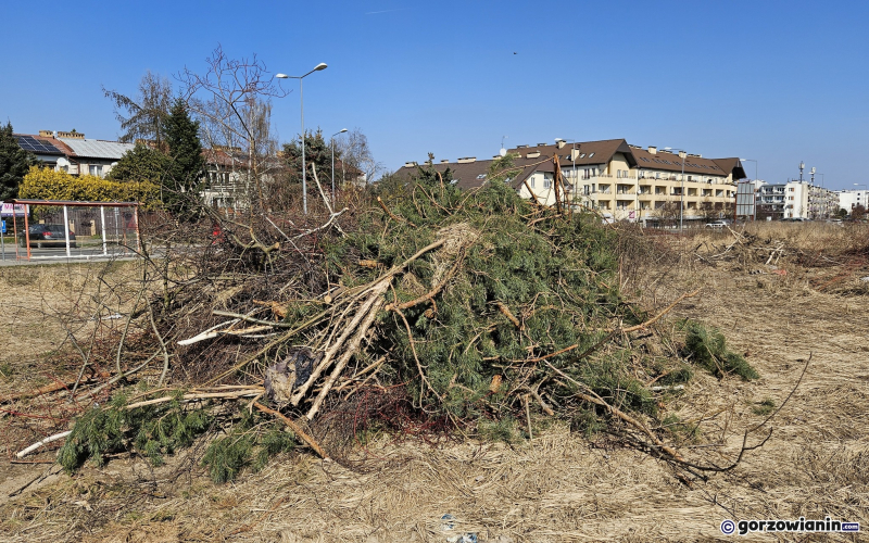 8/9 Wycięte drzewa i krzewy na Dekerta