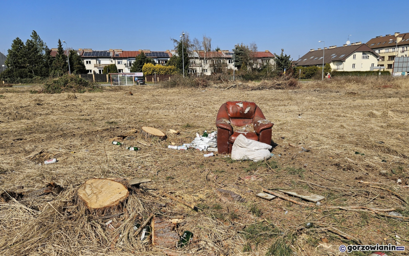 9/9 Wycięte drzewa i krzewy na Dekerta