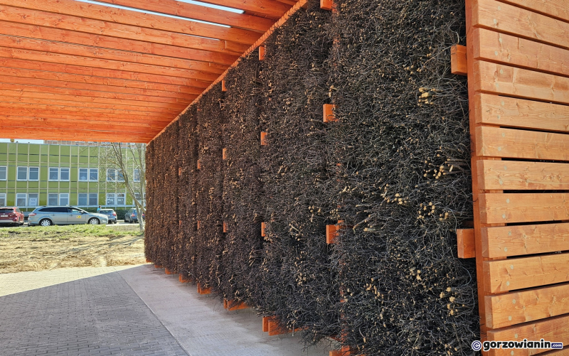 3/7 Tężnia przy szpitalu na Dekerta w Gorzowie