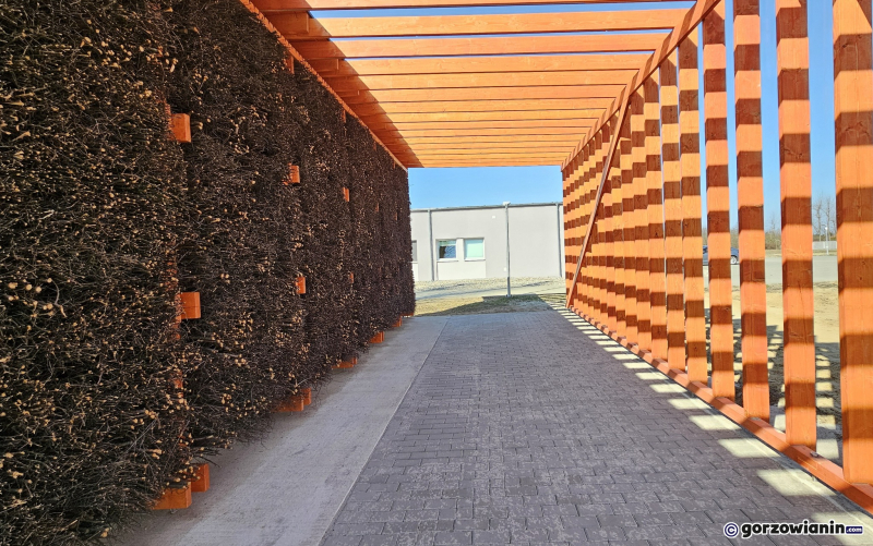 7/7 Tężnia przy szpitalu na Dekerta w Gorzowie