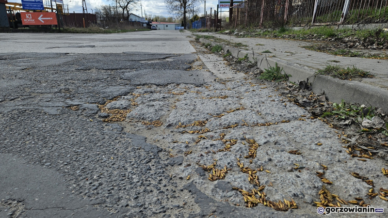 9/10 Ulica Cicha w Gorzowie. Firmy czują się wykluczone: Wstyd nam przed gośćmi z zagranicy jak to wygląda