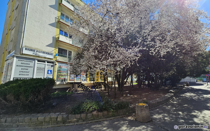 4/6 Przy Pocztowej powstanie park kieszonkowy