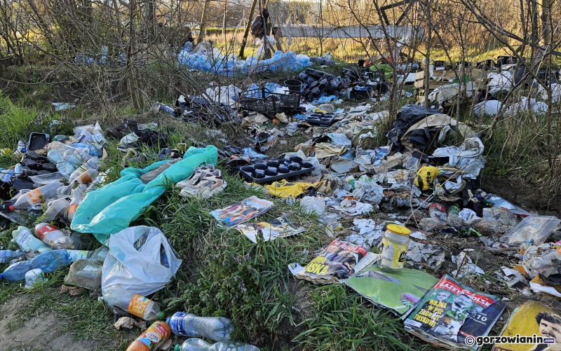 6/12 Dzikie wysypisko śmieci przy ul. Piłsudskiego
