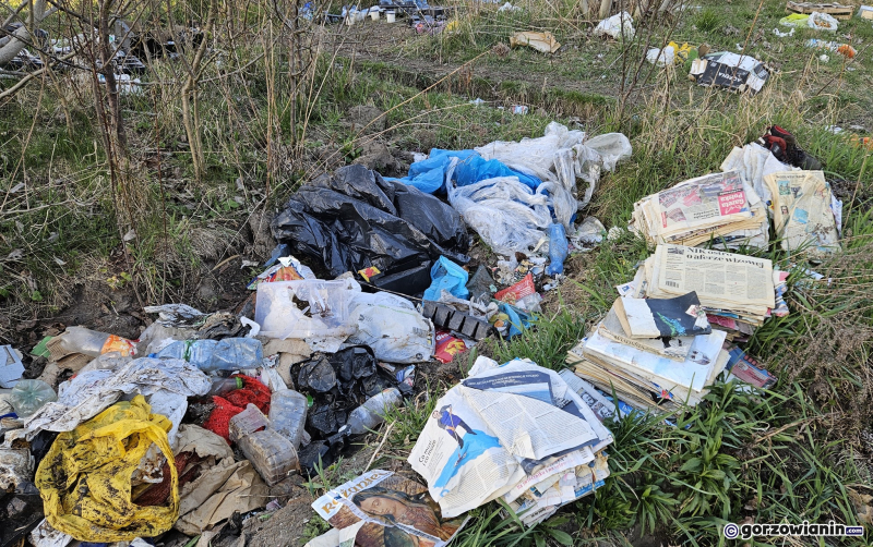 8/12 Dzikie wysypisko śmieci przy ul. Piłsudskiego