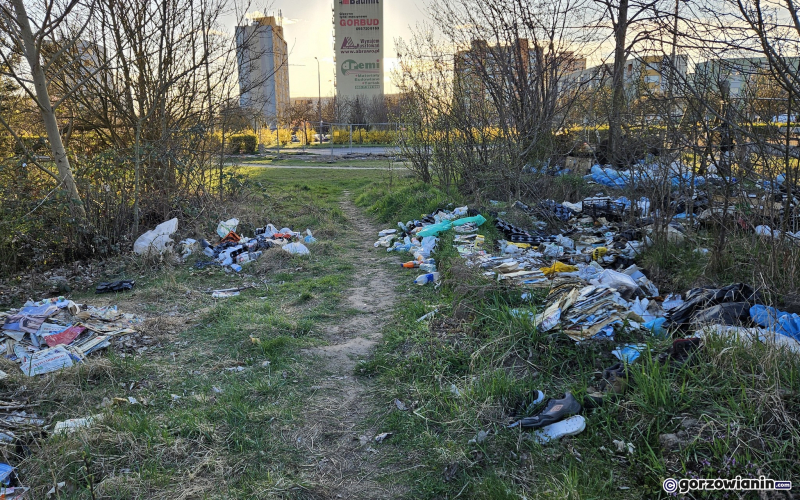 9/12 Dzikie wysypisko śmieci przy ul. Piłsudskiego
