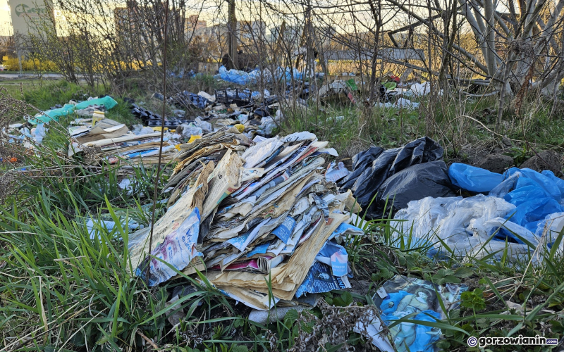 10/12 Dzikie wysypisko śmieci przy ul. Piłsudskiego