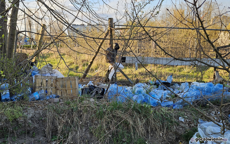 11/12 Dzikie wysypisko śmieci przy ul. Piłsudskiego
