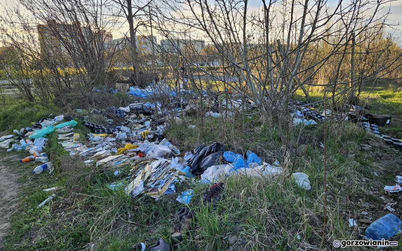 12/12 Dzikie wysypisko śmieci przy ul. Piłsudskiego