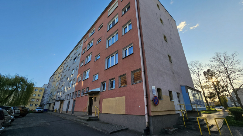 4/5 Szczury biegają po podwórku. Mieszkańcy alarmują: „trutka już nie wystarcza”