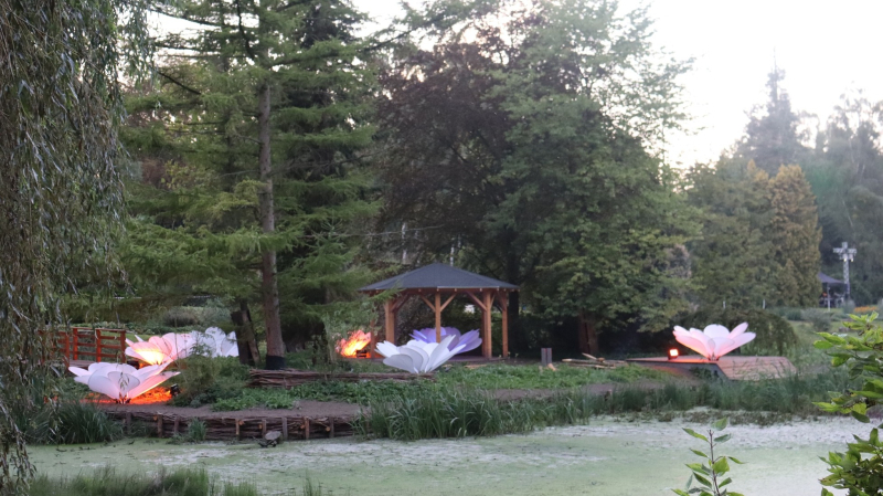 2/19 Magiczny Dzień Bajek w Ogrodzie Dendrologicznym Przelewice