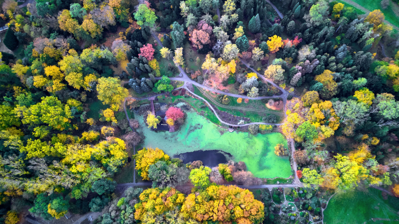 6/19 Magiczny Dzień Bajek w Ogrodzie Dendrologicznym Przelewice