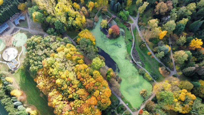 8/19 Magiczny Dzień Bajek w Ogrodzie Dendrologicznym Przelewice