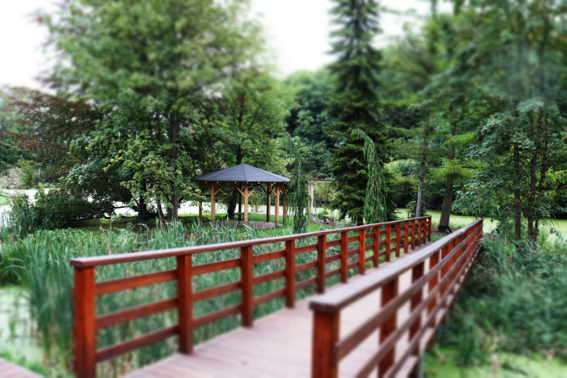 10/19 Magiczny Dzień Bajek w Ogrodzie Dendrologicznym Przelewice