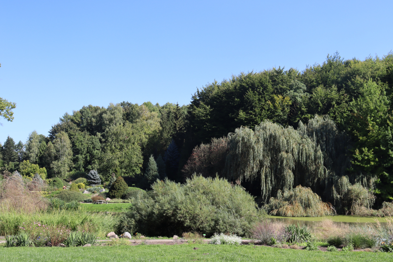 14/19 Magiczny Dzień Bajek w Ogrodzie Dendrologicznym Przelewice