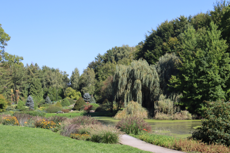15/19 Magiczny Dzień Bajek w Ogrodzie Dendrologicznym Przelewice