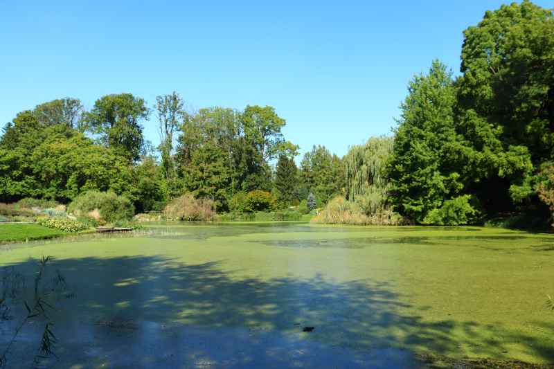 18/19 Magiczny Dzień Bajek w Ogrodzie Dendrologicznym Przelewice