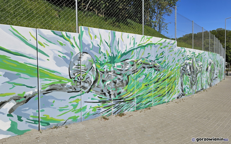 8/23 Mural Gorzów Mistrzów obok Słowianki gotowy