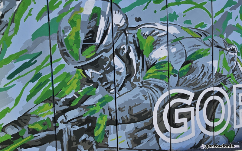 17/23 Mural Gorzów Mistrzów obok Słowianki gotowy