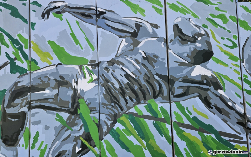 22/23 Mural Gorzów Mistrzów obok Słowianki gotowy