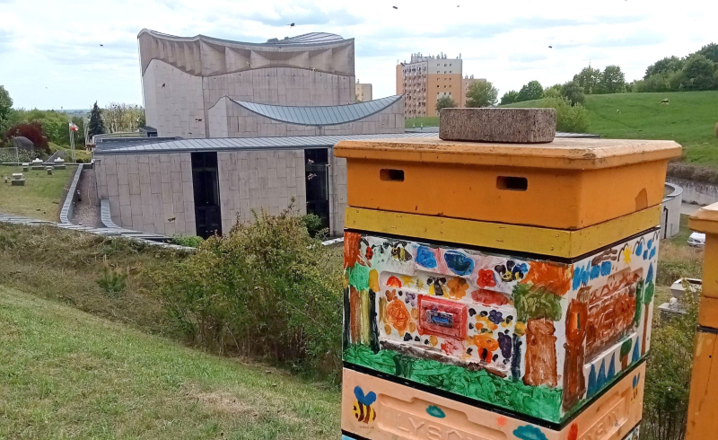 4/7 Miejska pasieka Pszczelissimo przy Filharmonii Gorzowskiej