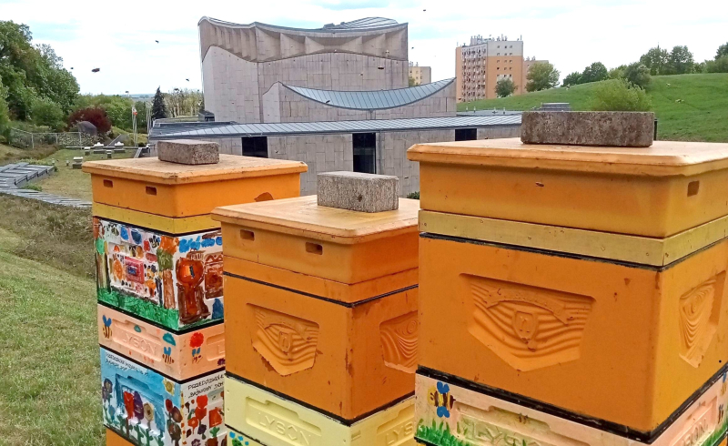 5/7 Miejska pasieka Pszczelissimo przy Filharmonii Gorzowskiej