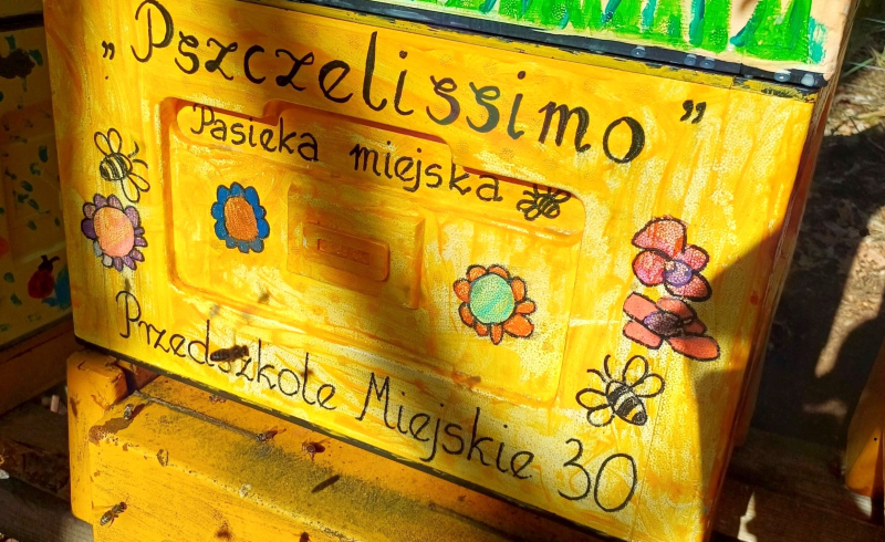 6/7 Miejska pasieka Pszczelissimo przy Filharmonii Gorzowskiej