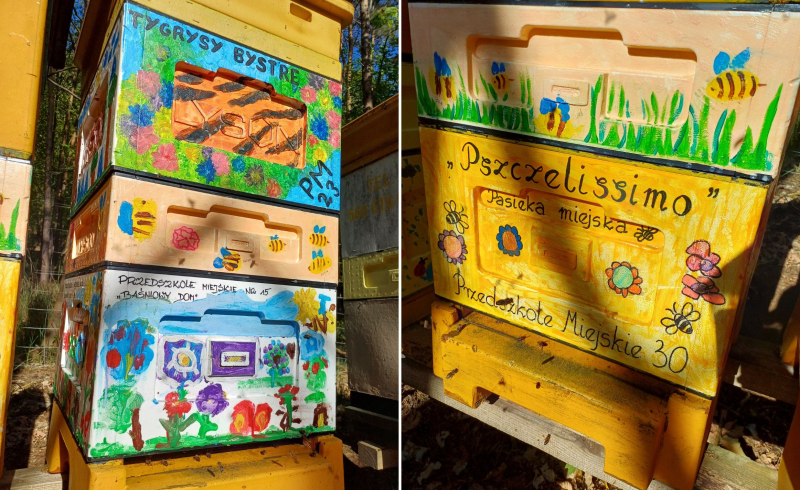 7/7 Miejska pasieka Pszczelissimo przy Filharmonii Gorzowskiej