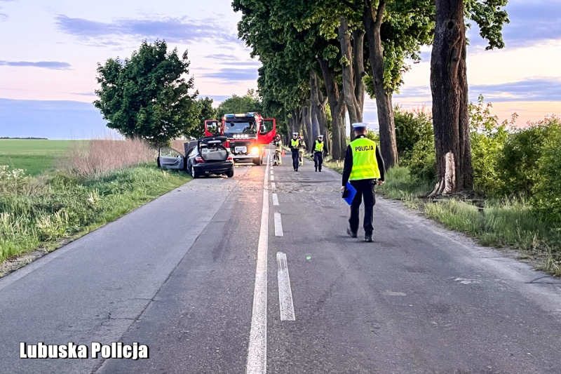 3/3 Mercedes uderzył w drzewo. Wypadek koło Strzelec Krajeńskich