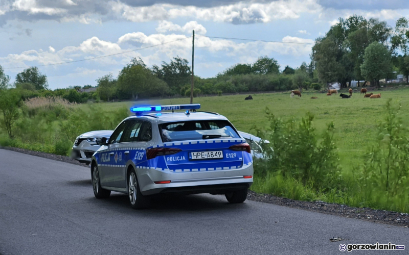 4/4 Kierująca renault wjechała do rowu na Podgórnej