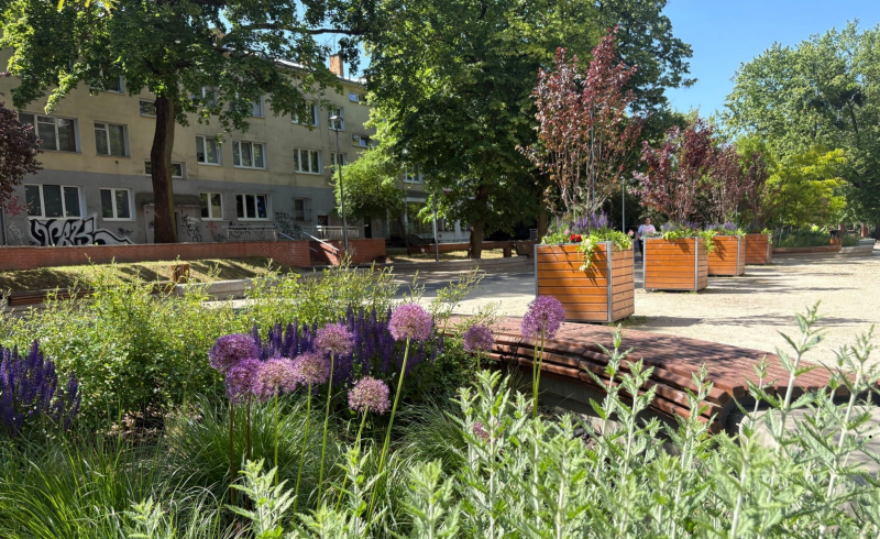 3/4 Nasadzenia w miejskich kwietnikach