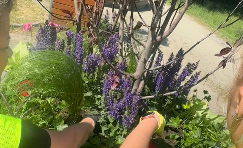 4/4 Nasadzenia w miejskich kwietnikach