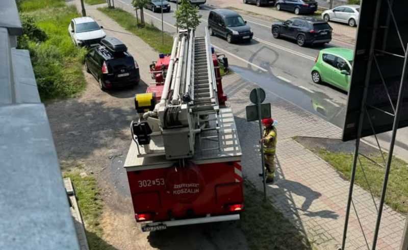 3/5 Strażacy ratowali ptaka przy ul. Koniawskiej