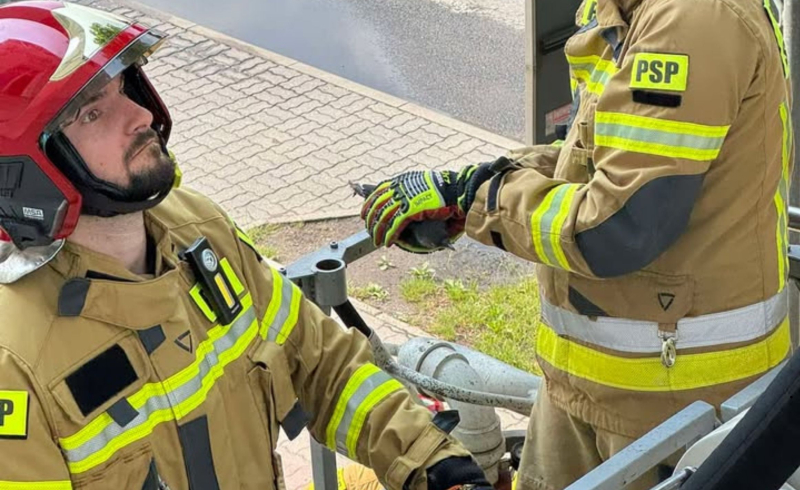 5/5 Strażacy ratowali ptaka przy ul. Koniawskiej