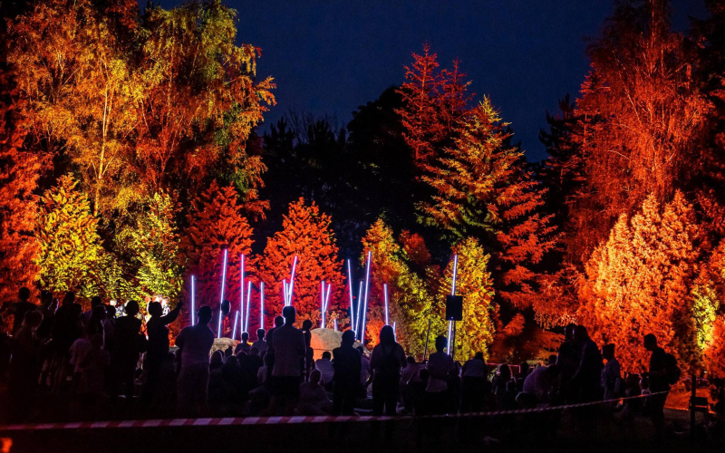 3/10 Noc Bajek w Przelewicach