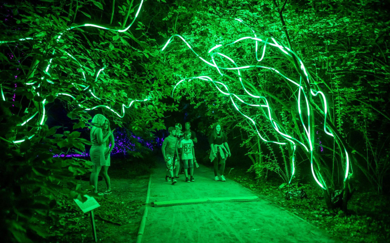 4/10 Noc Bajek w Przelewicach