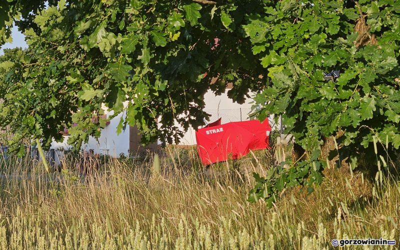 5/10 Śmiertelne potrącenie w Jarnatowie przez pijanego kierowcę