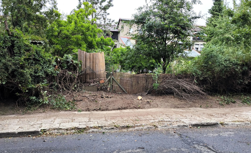 4/4 Wycięte krzewy przy ul. Okrzei