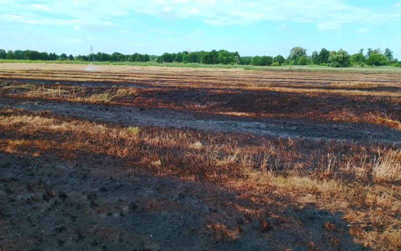 3/9 Pożar nieużytków w Lipkach Małych