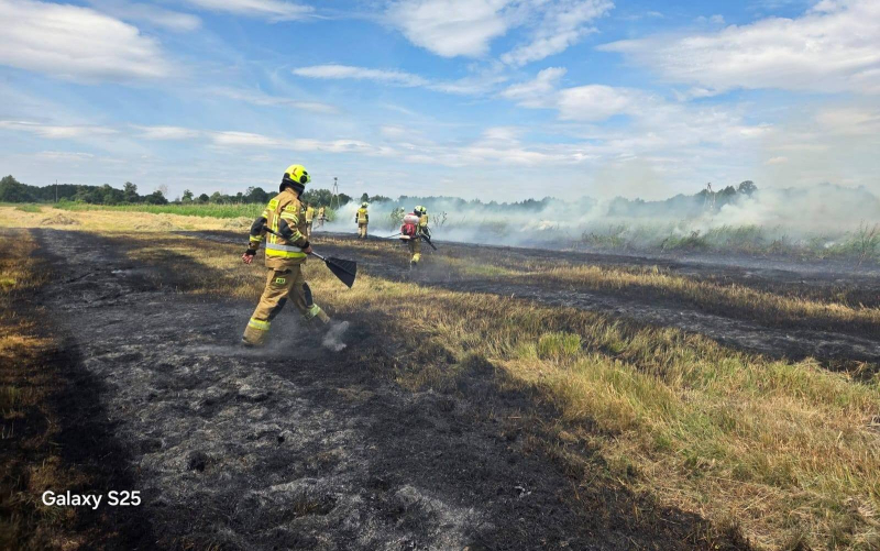 4/9 Pożar nieużytków w Lipkach Małych