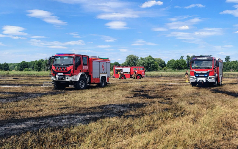 6/9 Pożar nieużytków w Lipkach Małych