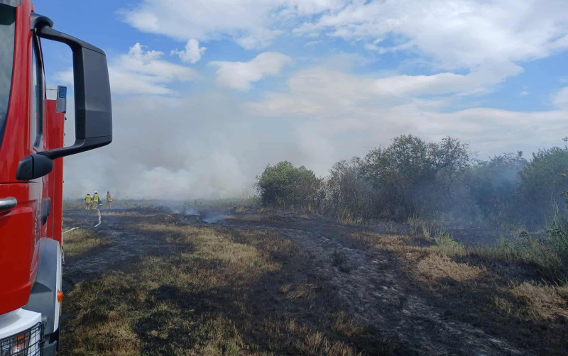 7/9 Pożar nieużytków w Lipkach Małych