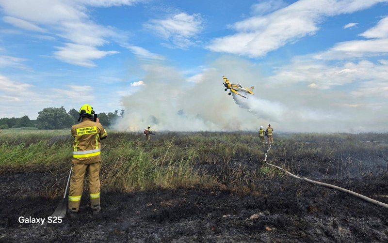 8/9 Pożar nieużytków w Lipkach Małych