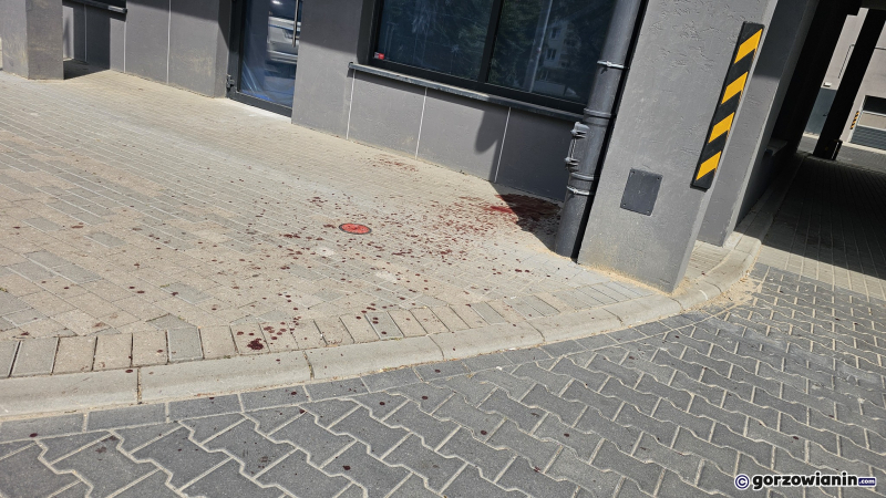 3/10 Atak nożem przy ul. Walczaka w Gorzowie