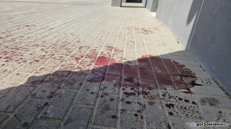 4/10 Atak nożem przy ul. Walczaka w Gorzowie