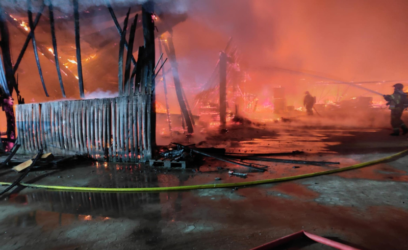 1/8 Potężny pożar tartaku w Ściechowie