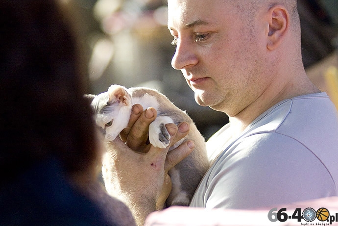 14/32 Gorzów: Pokaz kotów rasowych