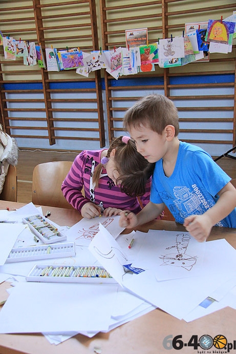 31/32 Gorzów: Pokaz kotów rasowych