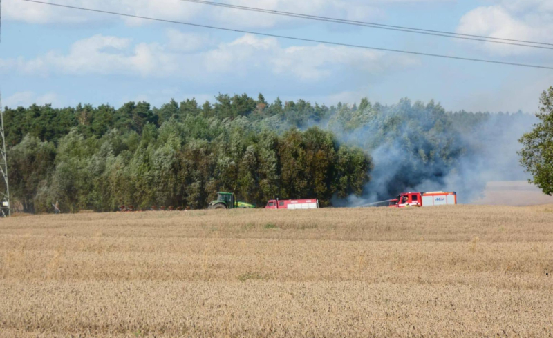 1/6 Pożar zboża w Stawie